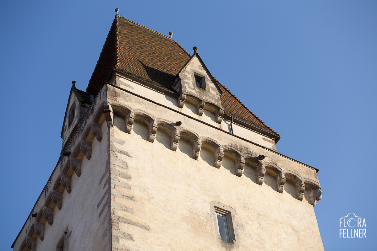 Ausstellungseröffnung 90 Jahre Schlossmuseum (15)