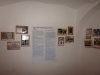 IMG_0020 - Website