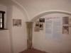 IMG_0021 - Website