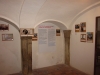 IMG_0023 - Website