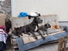 Tierheim Hunde (2)